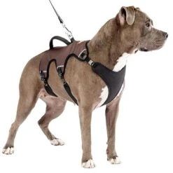 Arnés Ferplast Ergotrekking Marrón -Gatos Perros Suministros Tienda 224505 224506 224507 ferplast ergotrekking geschirr braun hs 14 0