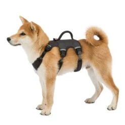 Arnés Ferplast Ergotrekking Negro -Gatos Perros Suministros Tienda 224508 224509 224510 ferplast ergotrekking geschirr schwarz hs 10 4