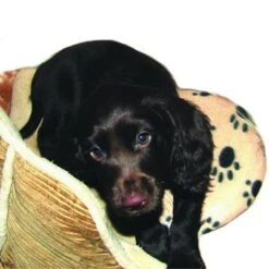 Almohadilla SnuggleSafe -Gatos Perros Suministros Tienda 22802 snugglesafe heizkissen f r haustiere hs dog 1