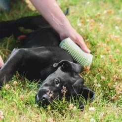 Pet Teezer Cepillo Para Cachorros -Gatos Perros Suministros Tienda 230724 pet teezer welpenbuerste hs 19 6