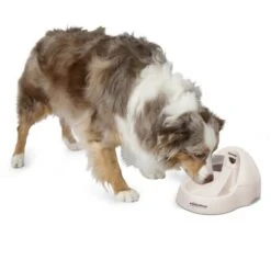 Petmate Fresh Flow Deluxe Bebedero Para Gatos -Gatos Perros Suministros Tienda 23406 petmate fresh flow deluxe creme hs 02 9