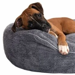 Cama Ortopédica Atlanta Modern Living Para Mascotas -Gatos Perros Suministros Tienda 235197 atlanta boxer fg 9717 3