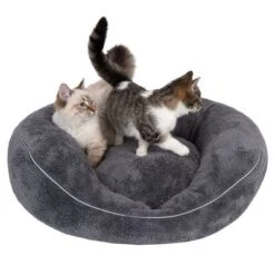 Cama Ortopédica Atlanta Modern Living Para Mascotas -Gatos Perros Suministros Tienda 235396 und katze fg 9748 0