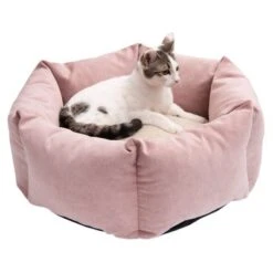 Cama Manila Para Mascotas -Gatos Perros Suministros Tienda 235399 manila katze fg 0434 8