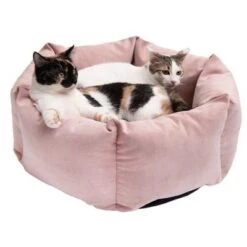 Cama Manila Para Mascotas -Gatos Perros Suministros Tienda 235399 manila katze fg 0440 3