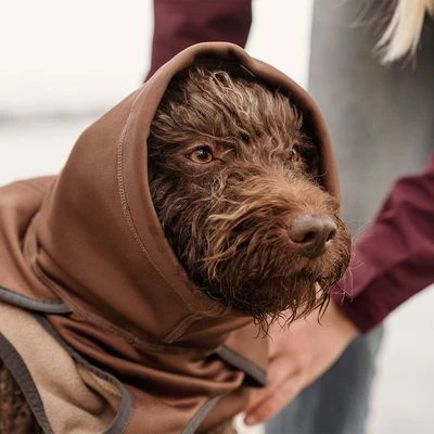 Abrigo Hurtta Bare Softshell Chocolate Para Perros - Imagen 6