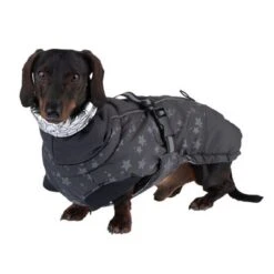 Abrigo Largo Reflecting Stars Para Perros -Gatos Perros Suministros Tienda 262001 hundemantel reflecting stars fg 1934 2