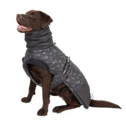 Abrigo Largo Reflecting Stars Para Perros -Gatos Perros Suministros Tienda 262100 labrador fg 1982 1