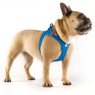 Arnés Curli Vest Clasp Air-Mesh Azul Para Perros - Imagen 3
