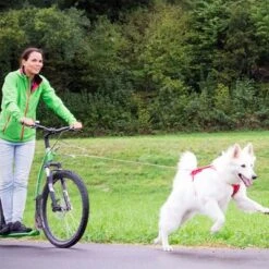 Correa De Bolsillo Curli Ultrarresistente -Gatos Perros Suministros Tienda 267896 267897 ultrastarke taschenleine hs 07 2