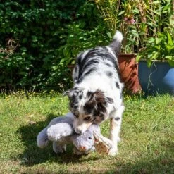 Conejo Elsie De Peluche Para Perros -Gatos Perros Suministros Tienda 267996 elsie mit hund fg 3306 3