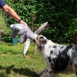 Conejo Elsie De Peluche Para Perros -Gatos Perros Suministros Tienda 267996 elsie mit hund fg 3309 7