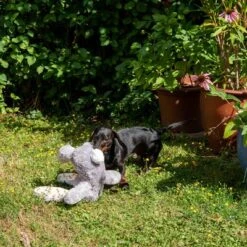 Conejo Elsie De Peluche Para Perros -Gatos Perros Suministros Tienda 267996 elsie mit hund fg 3335 8