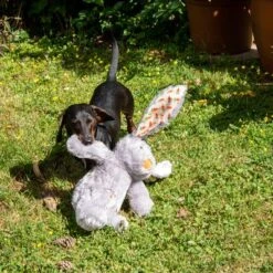 Conejo Elsie De Peluche Para Perros -Gatos Perros Suministros Tienda 267996 elsie mit hund fg 3339 8