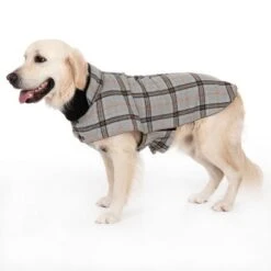 Abrigo Flannel Check Para Perros 21 Abrigo Flannel Check Para Perros -Gatos Perros Suministros Tienda 269071 flannel check 60cm fg 2346 8