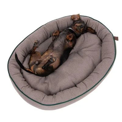 Cama Antibacteriana London Modern Living Para Perros 6 Cama Antibacteriana London Modern Living Para Perros - Imagen 4
