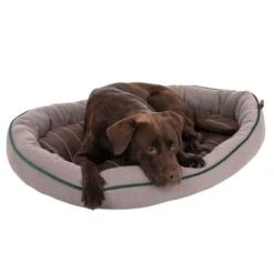 Cama Antibacteriana London Modern Living Para Perros 23 Cama Antibacteriana London Modern Living Para Perros -Gatos Perros Suministros Tienda 274564 labrador fg 2881 0