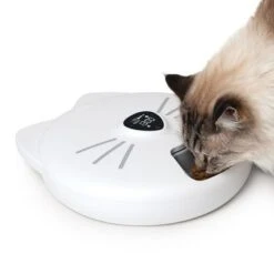 Comedero Automático Catit Pixi Smart 6-Meal -Gatos Perros Suministros Tienda 287496 hagencontainer catit pixi smart 6meal futterautomat hs 11 2