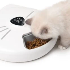 Comedero Automático Catit Pixi Smart 6-Meal -Gatos Perros Suministros Tienda 287496 hagencontainer catit pixi smart 6meal futterautomat hs 12 6