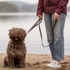 Correa Ajustable Hurtta Bare Carbón Para Perros -Gatos Perros Suministros Tienda 288348 hurtta bare verstellbare fuehrleine coal hs 02 1