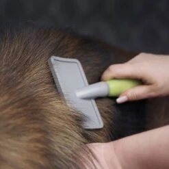 Carda Grande Moser Para Mascotas 7 Carda Grande Moser Para Mascotas -Gatos Perros Suministros Tienda 289696 moser grosse zupfbuerste hs 02 6