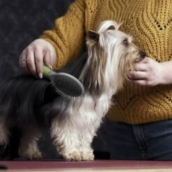 Cepillo De Doble Cara Moser Para Mascotas 7 Cepillo De Doble Cara Moser Para Mascotas -Gatos Perros Suministros Tienda 289796 moser beidseitige fellpflegebuerste hs 02 1