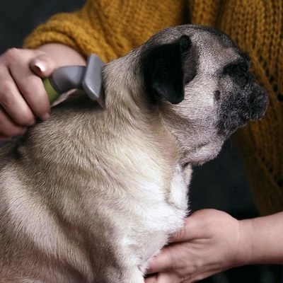 Peine Moser Para El Subpelo De Las Mascotas 4 Peine Moser Para El Subpelo De Las Mascotas - Imagen 2