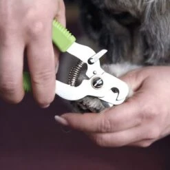 Cortaúñas Moser Para Mascotas -Gatos Perros Suministros Tienda 289896 moser krallenzange hs 02 8