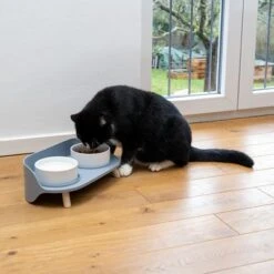 TIAKI Comedero Doble De Cerámica Para Mascotas -Gatos Perros Suministros Tienda 302496 duo napf mit katze fg 0999 5