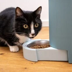 TIAKI Tolva Para Pienso Y Agua, Azul Claro Para Mascotas -Gatos Perros Suministros Tienda 302496 duo napf mit katze fg 1019 0