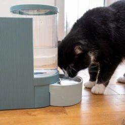 TIAKI Tolva Para Pienso Y Agua, Azul Claro Para Mascotas -Gatos Perros Suministros Tienda 302496 duo napf mit katze fg 1028 7