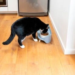 TIAKI Comedero Doble De Cerámica Para Mascotas -Gatos Perros Suministros Tienda 302496 tiaki keramiknapf duo 9