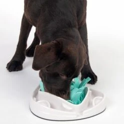 TIAKI Grass Slow Feeder Juguete De Inteligencia Para Perros -Gatos Perros Suministros Tienda 304297 tiaki dog grass slow feeder fg 1834 7