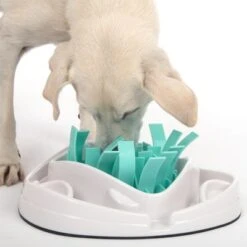 TIAKI Grass Slow Feeder Juguete De Inteligencia Para Perros -Gatos Perros Suministros Tienda 304297 tiaki dog grass slow feeder fg 1855 7