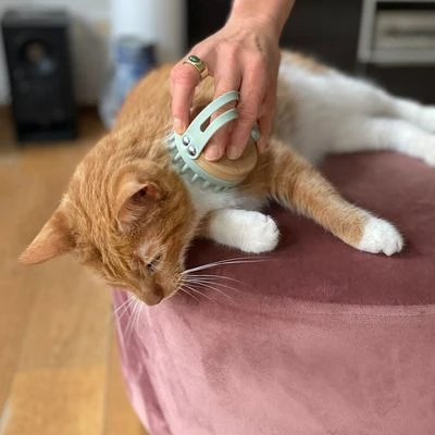 Kooa Cepillo Masajeador Para Gatos 5 Kooa Cepillo Masajeador Para Gatos - Imagen 3