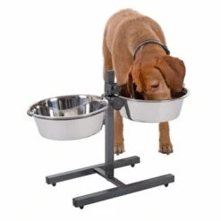 Soporte Ajustable Con 2 Comederos Incluidos -Gatos Perros Suministros Tienda 313523 kumar hundebar inklusive 2 edelstahln pfe 03 dsc5878 8