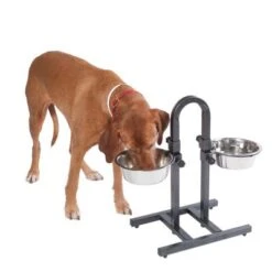 Soporte Ajustable Con Dos Comederos De 1,6 L -Gatos Perros Suministros Tienda 313525 u hundebar 05 dsc9197 9