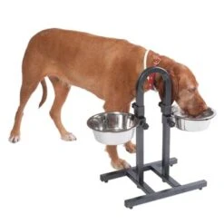 Soporte Ajustable Con Dos Comederos De 1,6 L -Gatos Perros Suministros Tienda 313525 u hundebar 06 dsc9199 3