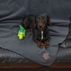 Manta TIAKI Nelly Para Mascotas -Gatos Perros Suministros Tienda 317312 tiaki nelly fg 6059 3