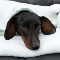 Manta Para Perros Modern Living Victoria -Gatos Perros Suministros Tienda 318002 decke victoria fg 6055 4