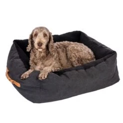 Cama Modern Living Espoo Para Perros 34 Cama Modern Living Espoo Para Perros -Gatos Perros Suministros Tienda 318296 mit labradoodel fg 5495 6
