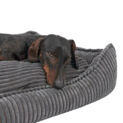 Cama Modern Living Helena Para Perros 41 Cama Modern Living Helena Para Perros -Gatos Perros Suministros Tienda 320397 hundebett helena grau fg 2233 5