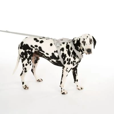 Arnés TIAKI Neoprene Gris Para Perros 14 Arnés TIAKI Neoprene Gris Para Perros - Imagen 12