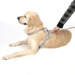 Arnés TIAKI Neoprene Gris Para Perros 20 Arnés TIAKI Neoprene Gris Para Perros -Gatos Perros Suministros Tienda 323033 neoprene geschirr l fg 1703 5