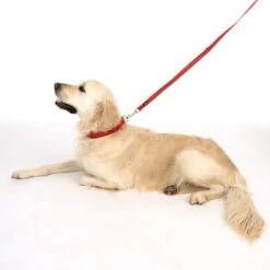 Correa Ajustable TIAKI Reflective Rubber Roja Para Perros 23 Correa Ajustable TIAKI Reflective Rubber Roja Para Perros -Gatos Perros Suministros Tienda 323199 soft save m fg 1630 5