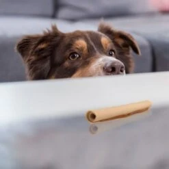 SmartBones Palitos Enrollados Con Pollo Para Perros 10 SmartBones Palitos Enrollados Con Pollo Para Perros -Gatos Perros Suministros Tienda 324401 smartsticks wrapped kausticks huhn stck hs 04 8