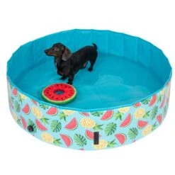 Piscina Para Perros TIAKI Con Cubierta 22 Piscina Para Perros TIAKI Con Cubierta -Gatos Perros Suministros Tienda 325909 schwimmende wassermelone mit ball fg 6696 3