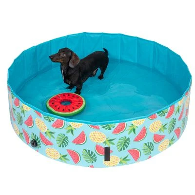 Piscina Para Perros TIAKI Con Cubierta 7 Piscina Para Perros TIAKI Con Cubierta - Imagen 5