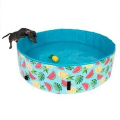 Piscina Para Perros TIAKI Con Cubierta 27 Piscina Para Perros TIAKI Con Cubierta -Gatos Perros Suministros Tienda 326696 floating pineapple fg 6641 9
