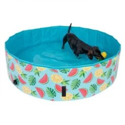 Piscina Para Perros TIAKI Con Cubierta 25 Piscina Para Perros TIAKI Con Cubierta -Gatos Perros Suministros Tienda 326696 floating pineapple fg 6648 6